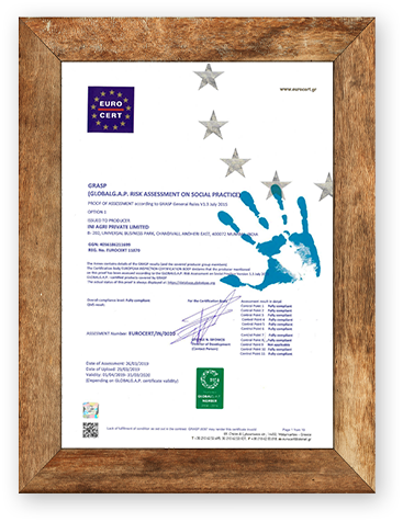 Certificate 1 Image